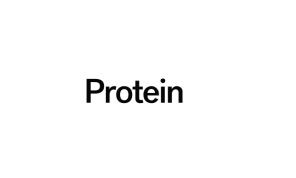 Protein
